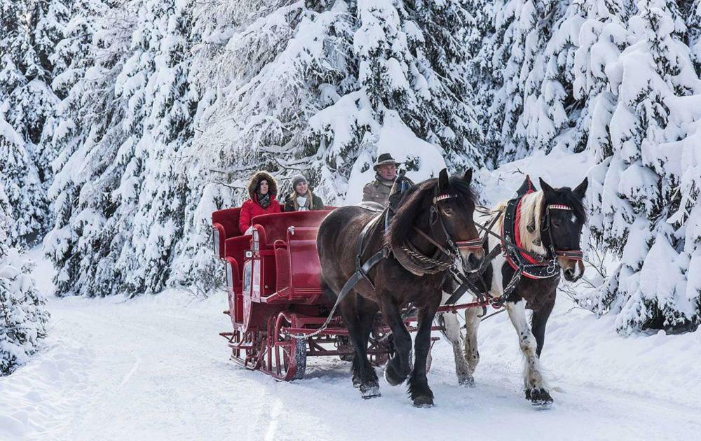 Das Penthaus Katschberg Качбергхёэ Экстерьер фото